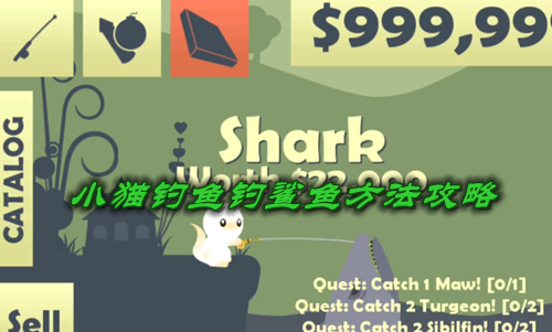 小猫钓鱼钓鲨鱼方法攻略