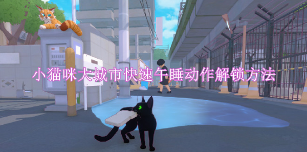 小猫咪大城市快速午睡动作解锁方法