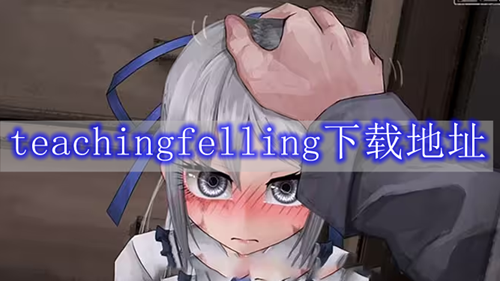 teachingfelling下载地址