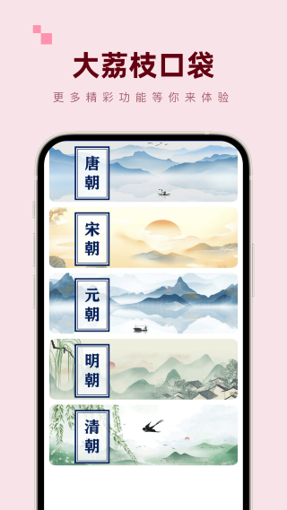 大荔枝口袋app