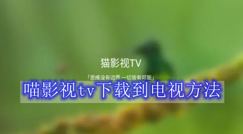 喵影视tv下载到电视方法